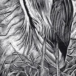 Heron on a Blustery Day (Framed Wood Engraved Block Print)