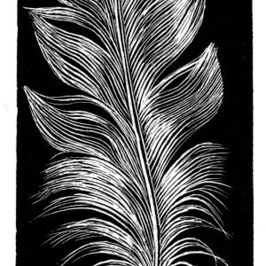 La Plume (Framed Wood Engraved Block Print)