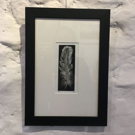 framed feather framed feather
