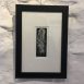 framed feather