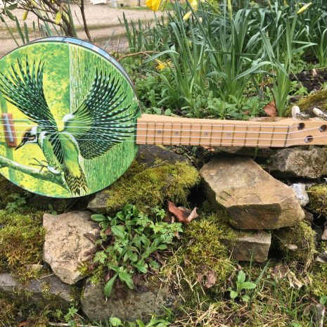 woodpecker uke 1