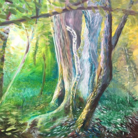 Evening Light, Freeholders Wood Evening Light, Freeholders Wood