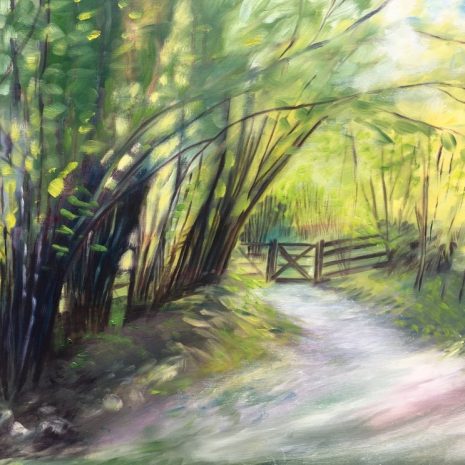 Summer Light, Freeholders Wood Summer Light, Freeholders Wood