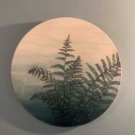 Fern