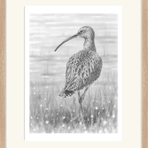 Curlew (Large Print in Frame)