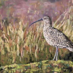 Curlew in Grass