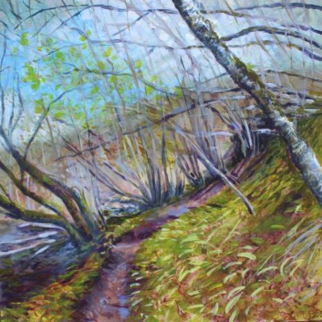 Hazel Copse, Gunnerside Hazel Copse, Gunnerside
