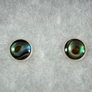 Silver Stud Earrings 1a