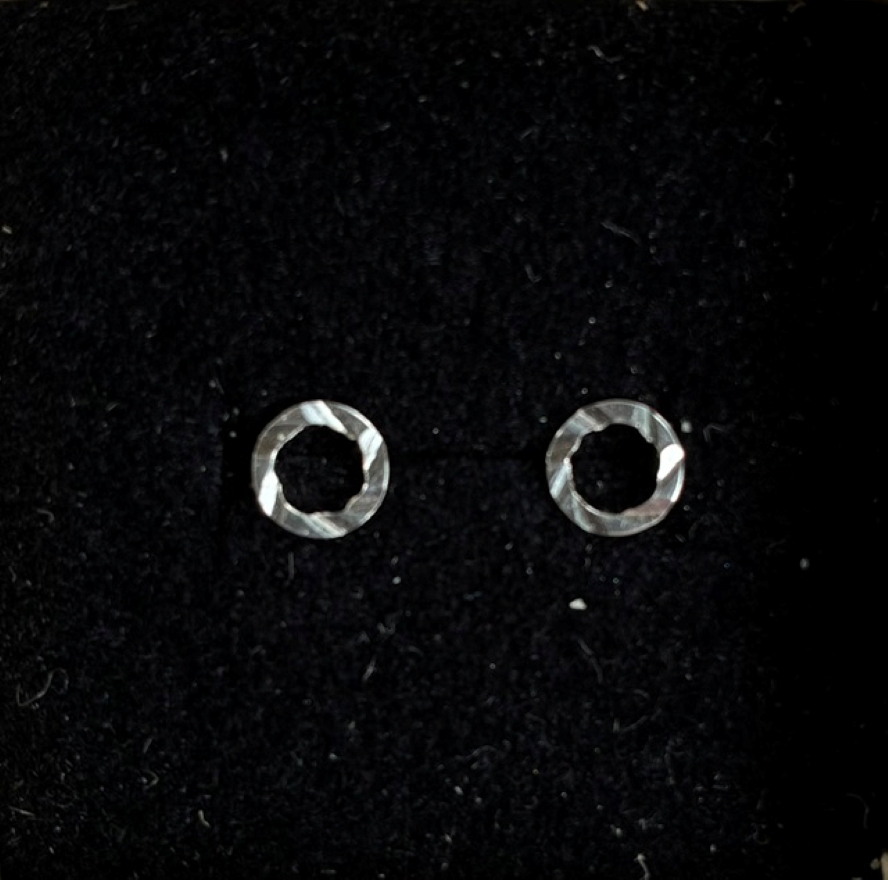 Silver Stud Earrings 1e
