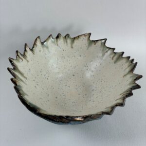 Roos Bowl 1b