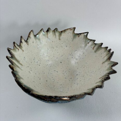 Roos Bowl 1b Roos Bowl 1b