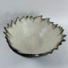 Roos Bowl 1b