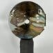 small disc a